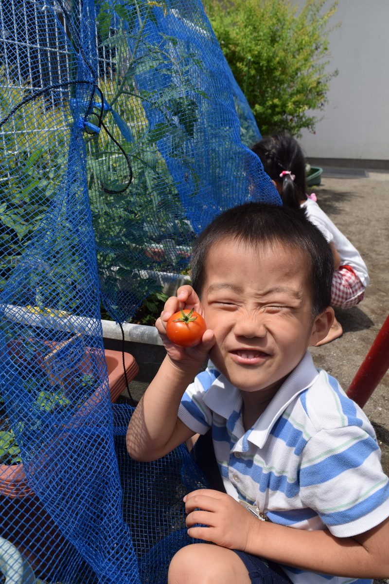 f:id:yurigaokamegumi:20190416170731j:plain
