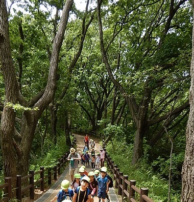 f:id:yurigaokamegumi:20190612142141j:plain
