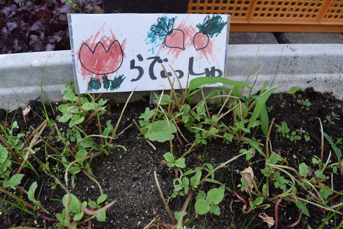 f:id:yurigaokamegumi:20190703154237j:plain