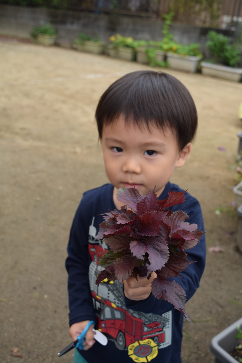 f:id:yurigaokamegumi:20191018163102j:plain