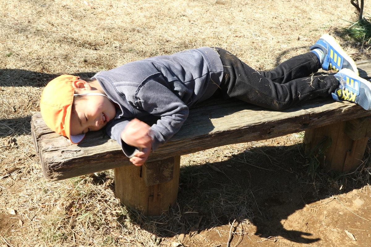 f:id:yurigaokamegumi:20200413133053j:plain