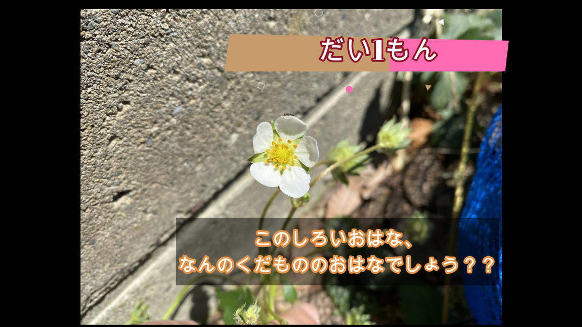 f:id:yurigaokamegumi:20200515104245p:plain