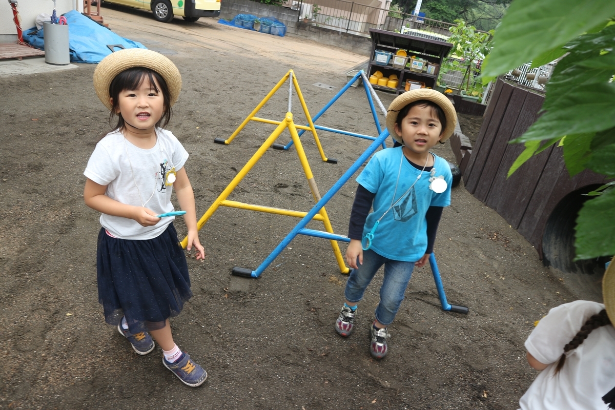 f:id:yurigaokamegumi:20200602155120j:plain