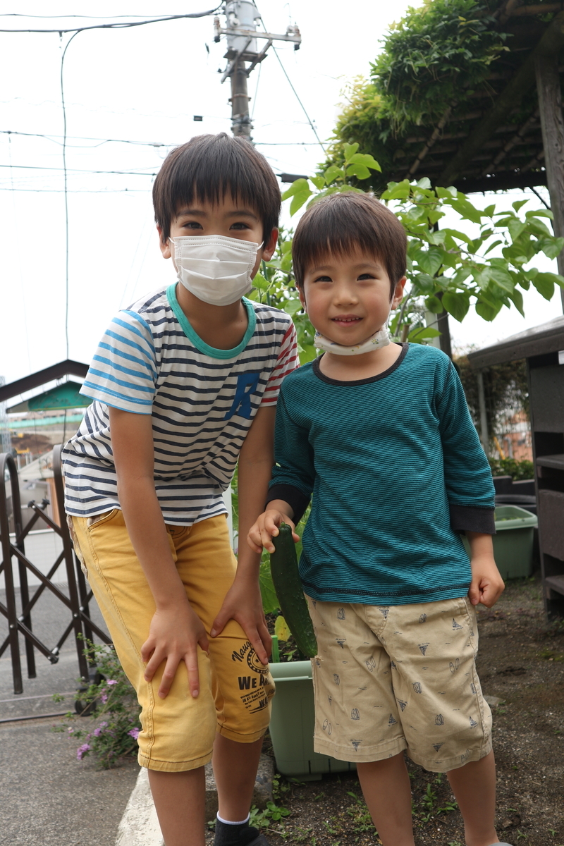 f:id:yurigaokamegumi:20200602155701j:plain
