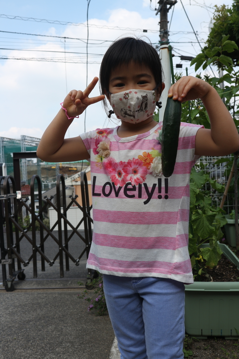 f:id:yurigaokamegumi:20200602155704j:plain