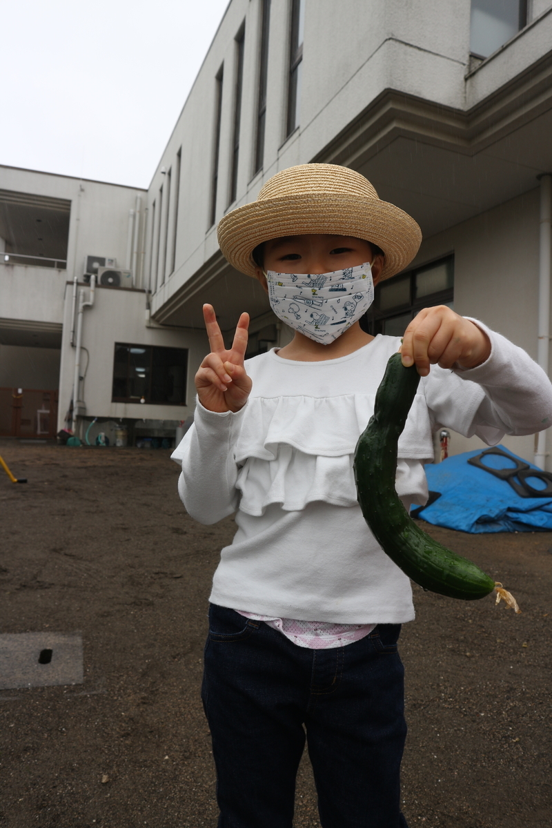 f:id:yurigaokamegumi:20200602155716j:plain