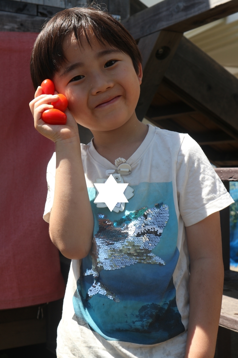 f:id:yurigaokamegumi:20200622164523j:plain
