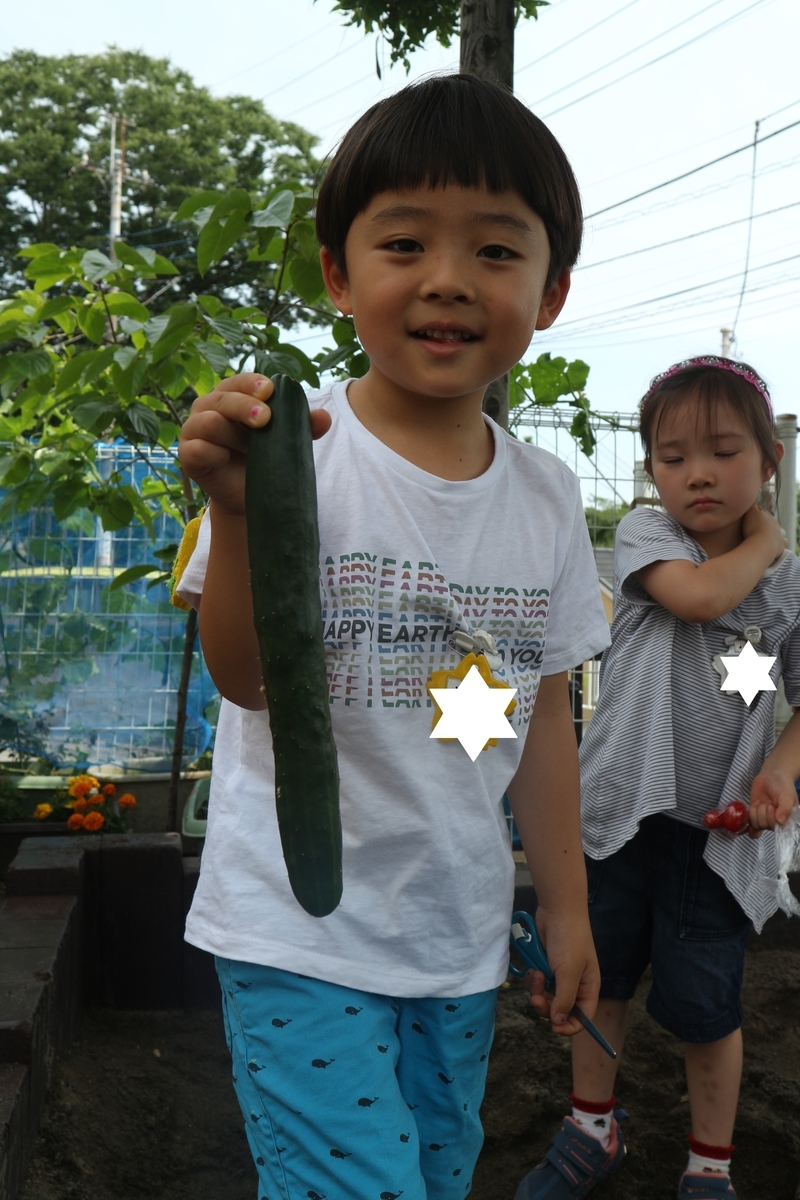 f:id:yurigaokamegumi:20200622164527j:plain