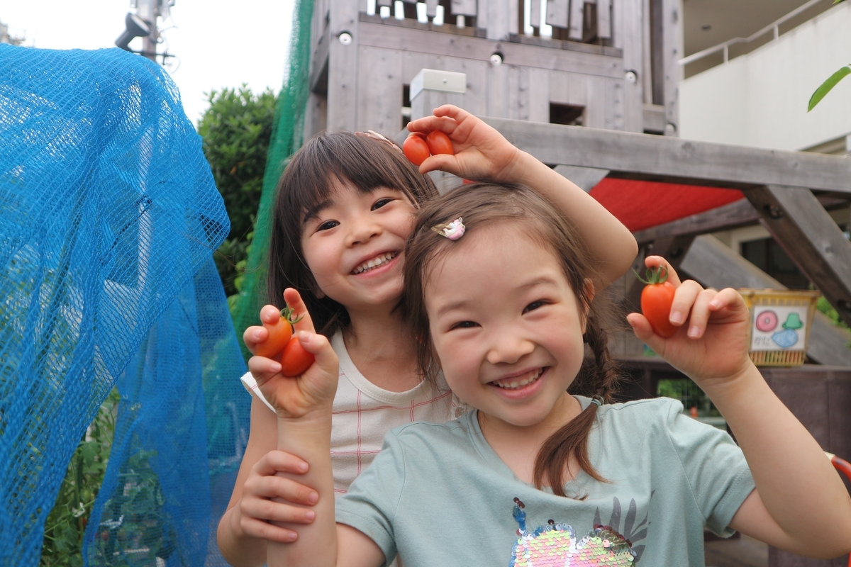 f:id:yurigaokamegumi:20200622164718j:plain