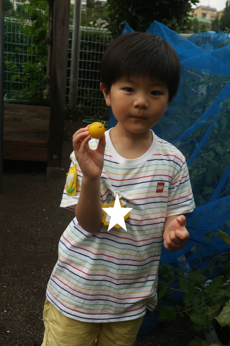 f:id:yurigaokamegumi:20200805103034j:plain