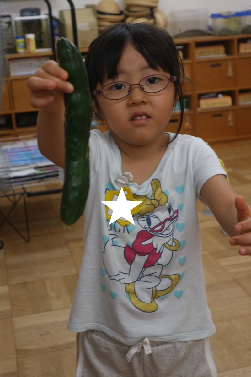 f:id:yurigaokamegumi:20200805103041j:plain