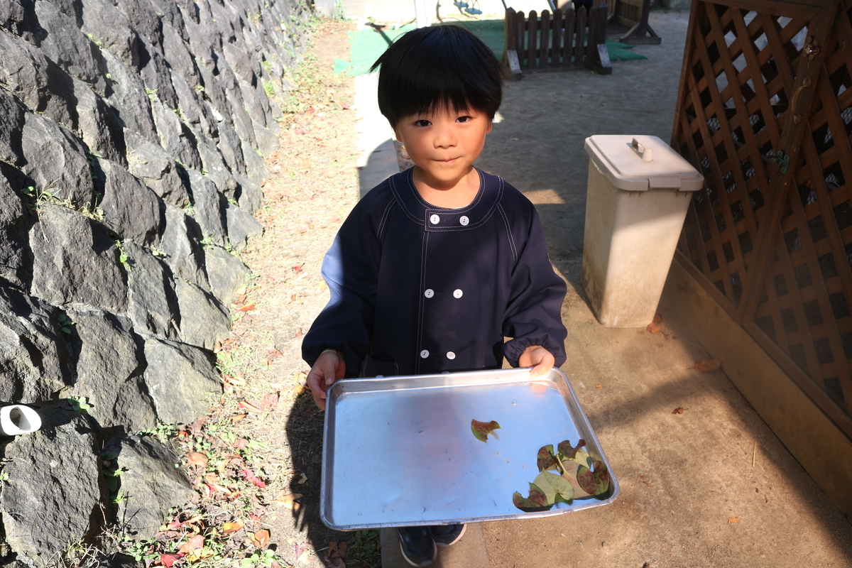f:id:yurigaokamegumi:20201222111208j:plain