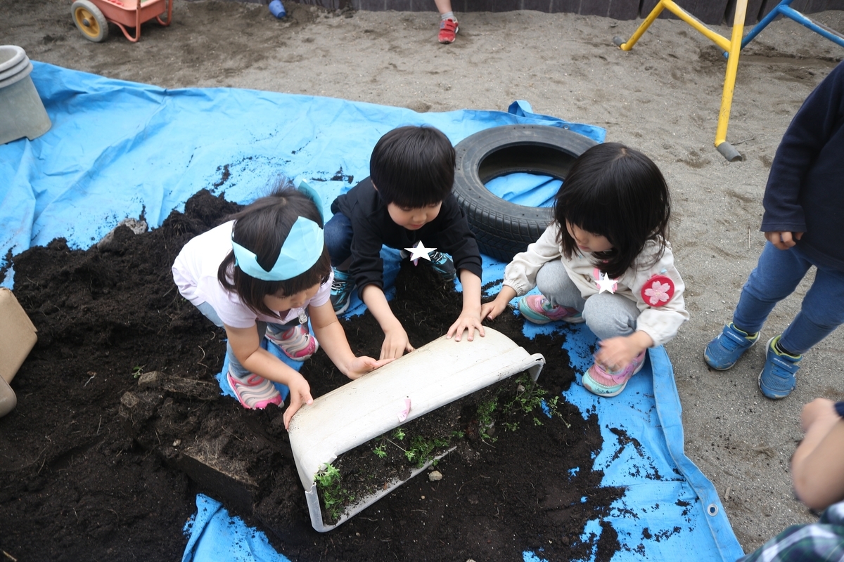 f:id:yurigaokamegumi:20210512143236j:plain