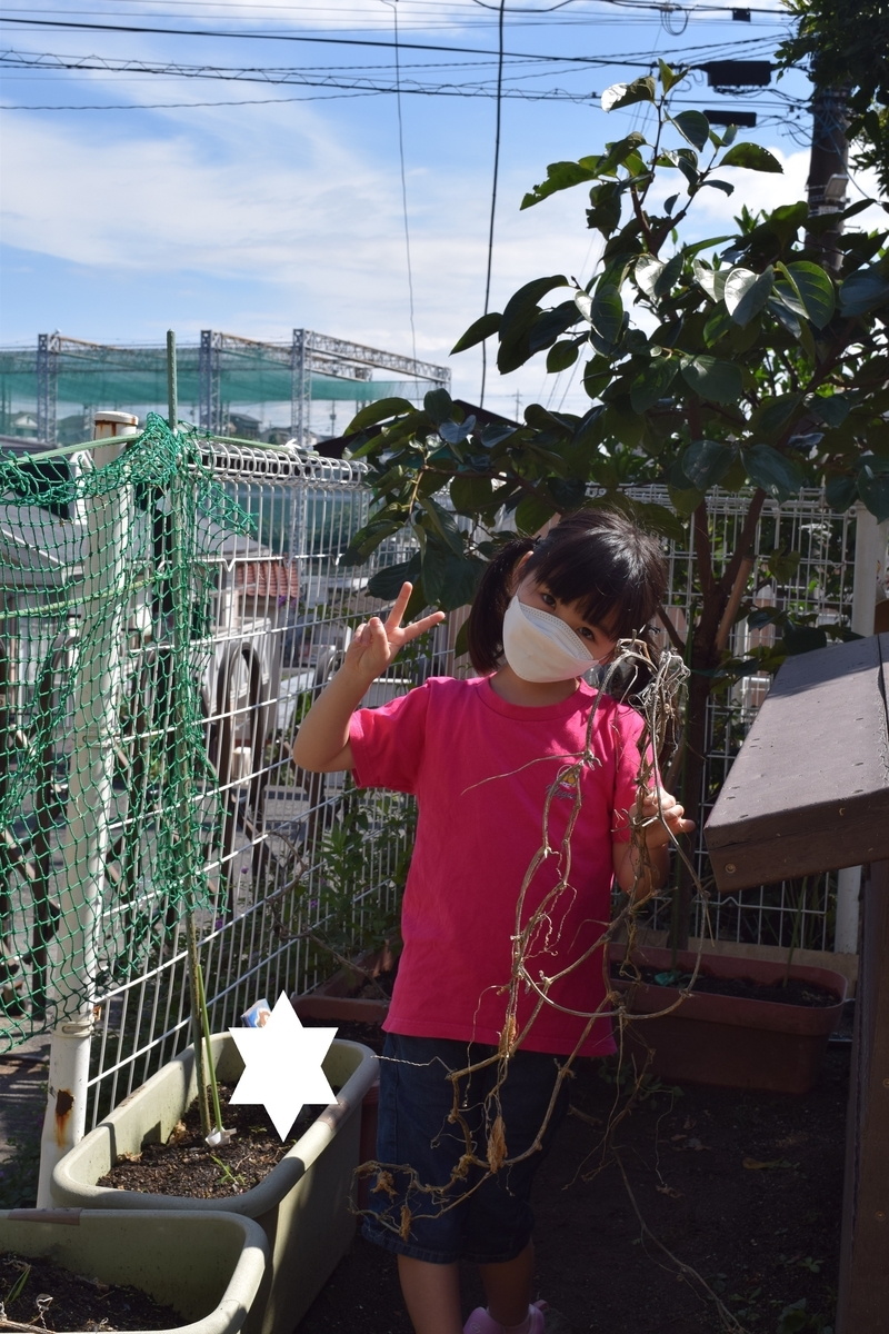 f:id:yurigaokamegumi:20210911183503j:plain